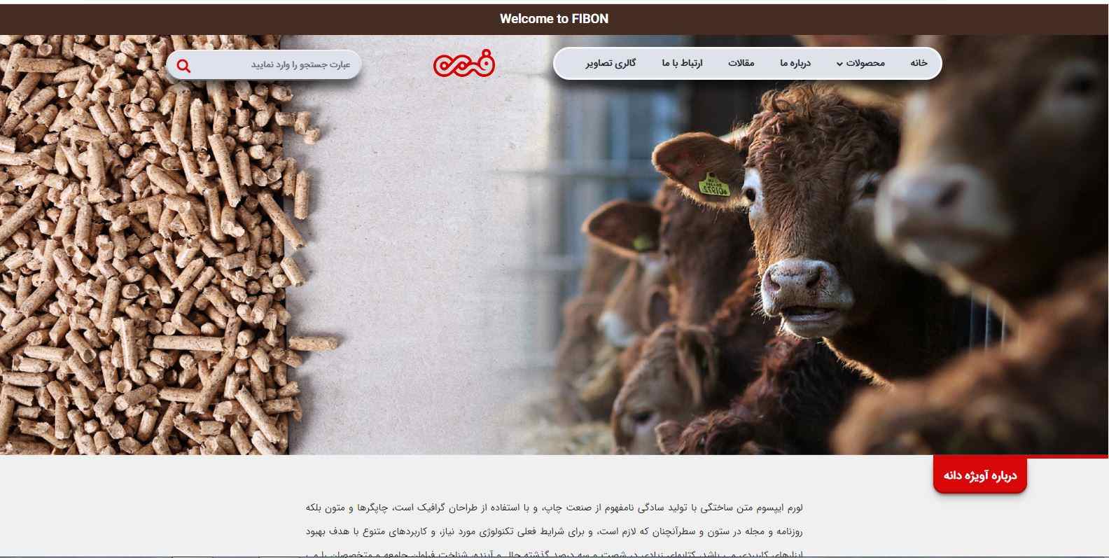 هونام تجارت فیبون